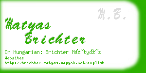 matyas brichter business card